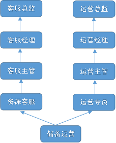 储备运营,客服总监,客服经理,客服主管,资深客服,运营总监,运营经理,运营主管,运营专员