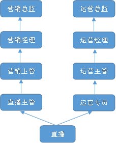 直播,营销总监,营销经理,营销主管,直播主管zzhu,运营总监,运营经理,运营主管,运营专员