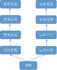 客服,客服总监,客服经理,客服主管,资深客服,运营总监,运营经理,运营主管,运营专员